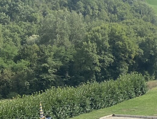 La Tavola Marche