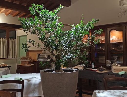 Trattoria 1962 Valle del Metauro Country House
